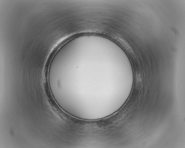 X0000115200628200911181509