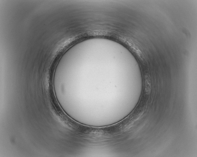 X0000115200631200911181509