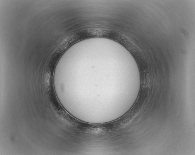X0000115200646200911181509