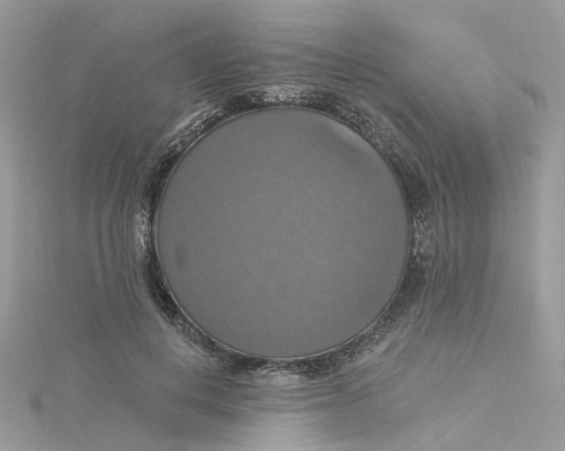 X0000115200648200911181509