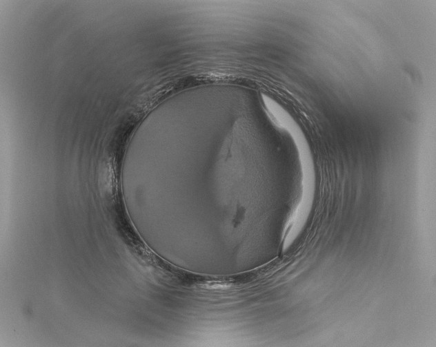 X0000115200651200911181509
