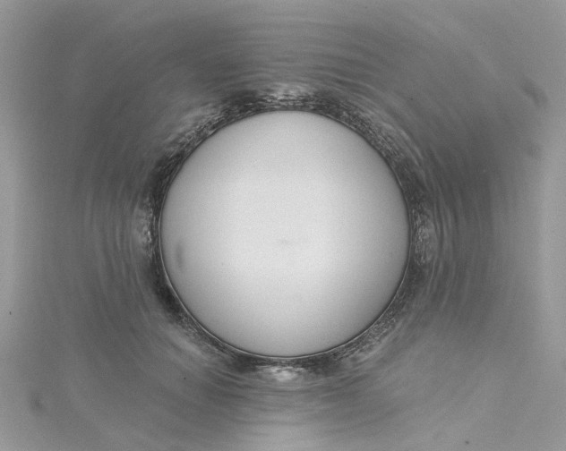 X0000115200654200911181509