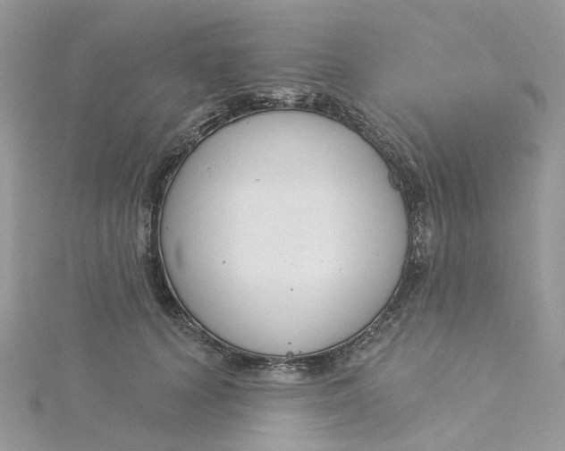 X0000115200656200911181509