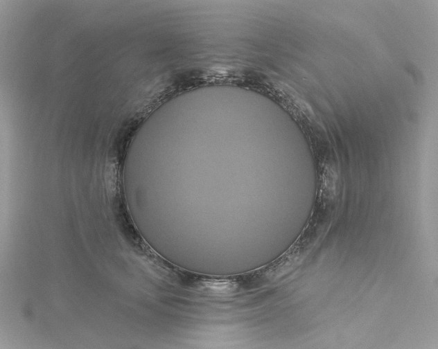 X0000115200659200911181509