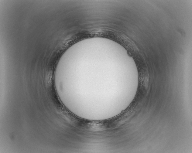 X0000115200660200911181509