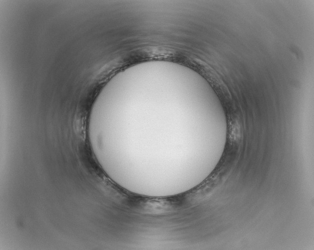 X0000115200666200911181509