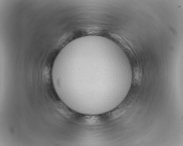 X0000115200667200911181509