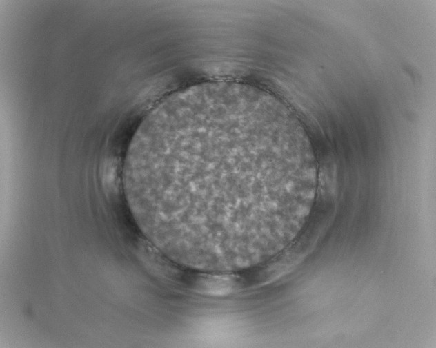 X0000115200671200911181509