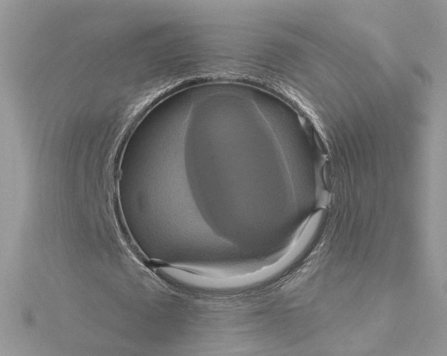 X0000115200673200911181509