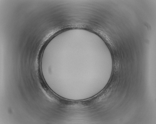 X0000115200674200911181509