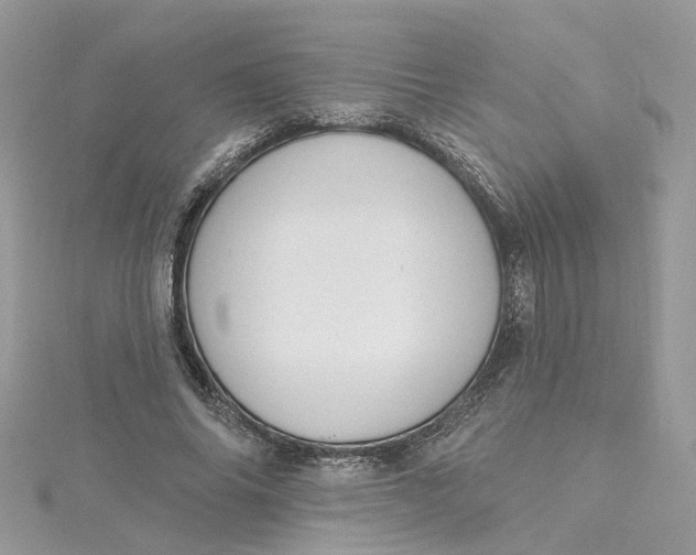 X0000115200686200911181509