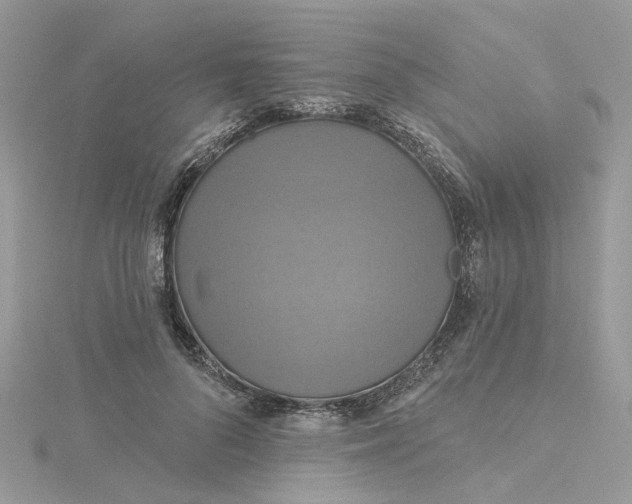 X0000115200696200911181508