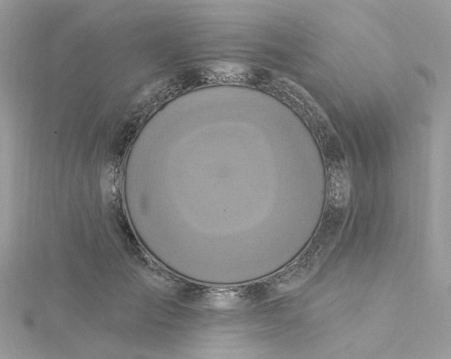 X0000115200701200911181508