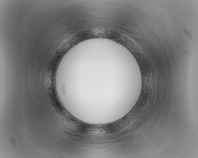 X0000115200702200911181508