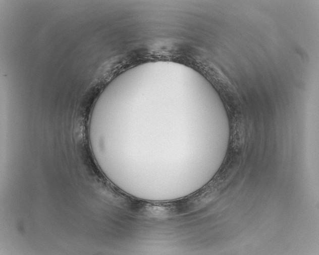 X0000115200706200911181508