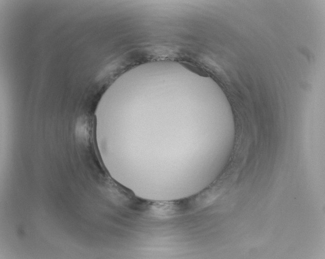 X0000115200720200911181508