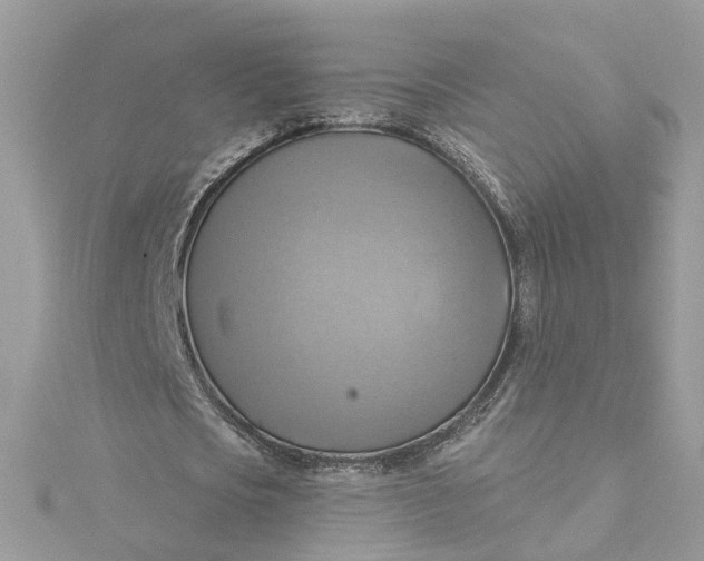 X0000115200721200911181508