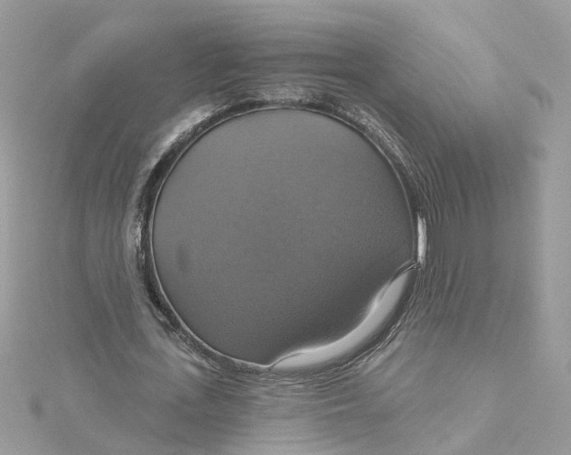 X0000115200723200911181508