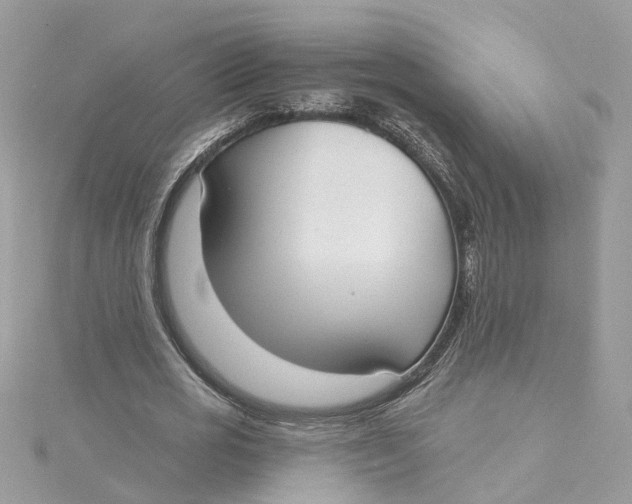 X0000115200725200911181508