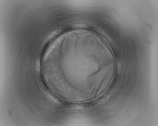X0000115200729200911181508