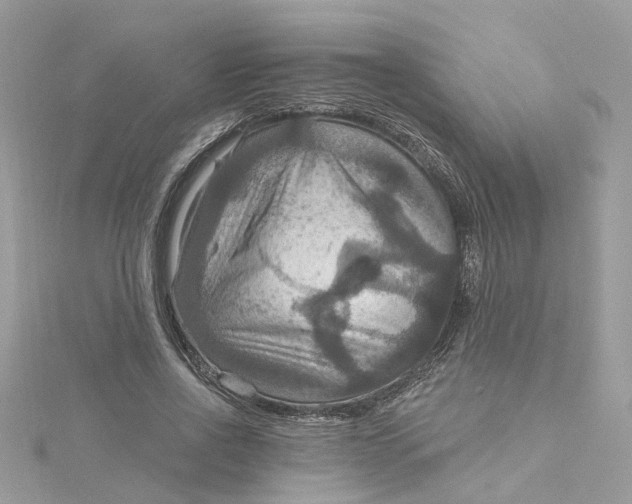 X0000115200734200911181508
