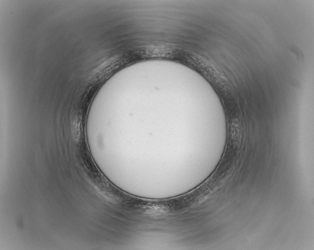 X0000115200741200911181508