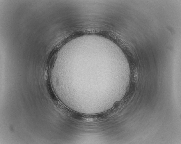 X0000115200746200911181508
