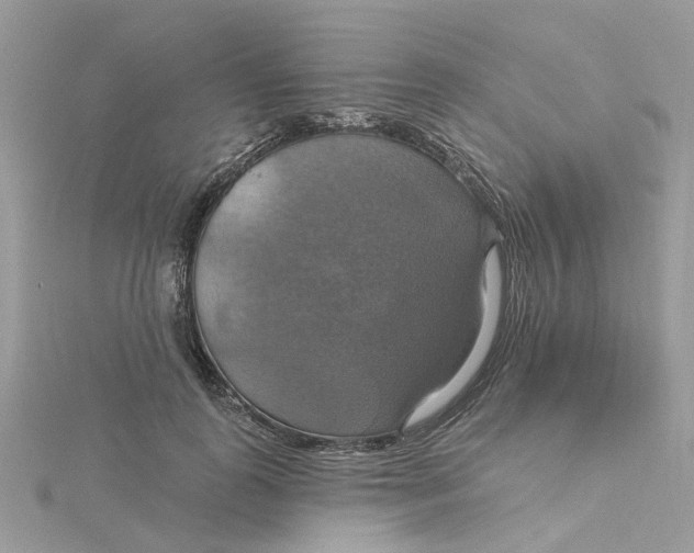 X0000115200747200911181508