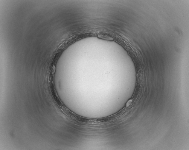X0000115200750200911181508