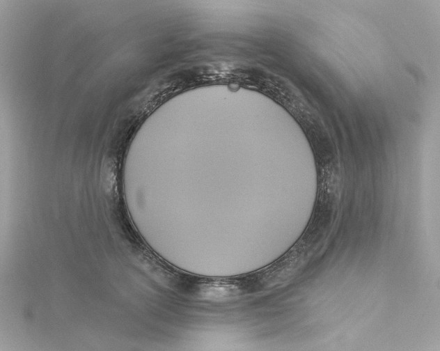 X0000115200754200911181508