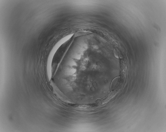 X0000115200758200911181508