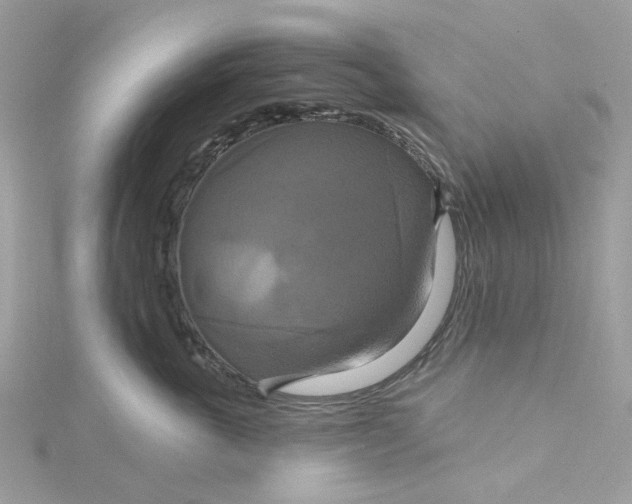 X0000115200763200911181508