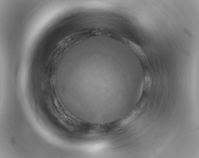 X0000115200765200911181508
