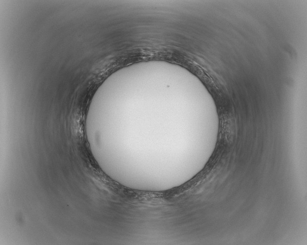 X0000115200770200911181507