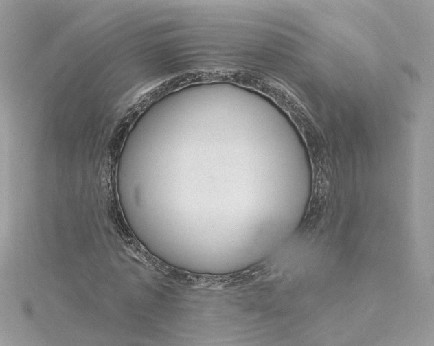 X0000115200773200911181507