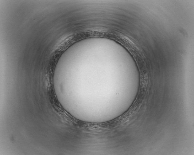 X0000115200774200911181507