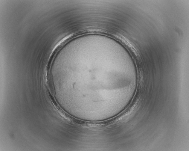 X0000115200782200911181507