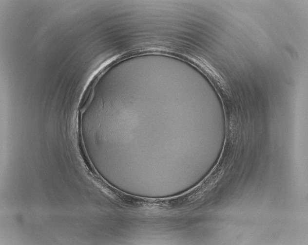 X0000115200790200911181507