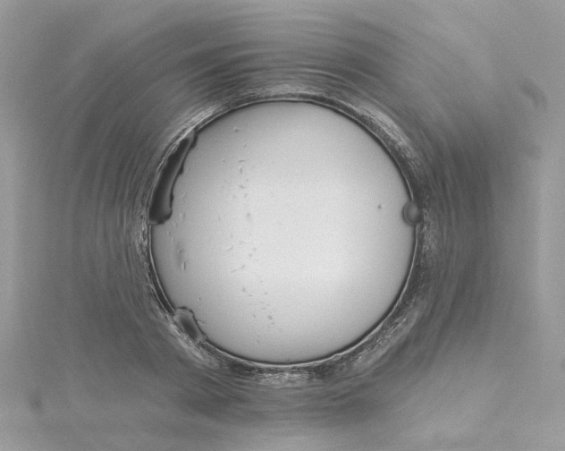 X0000115200793200911181507