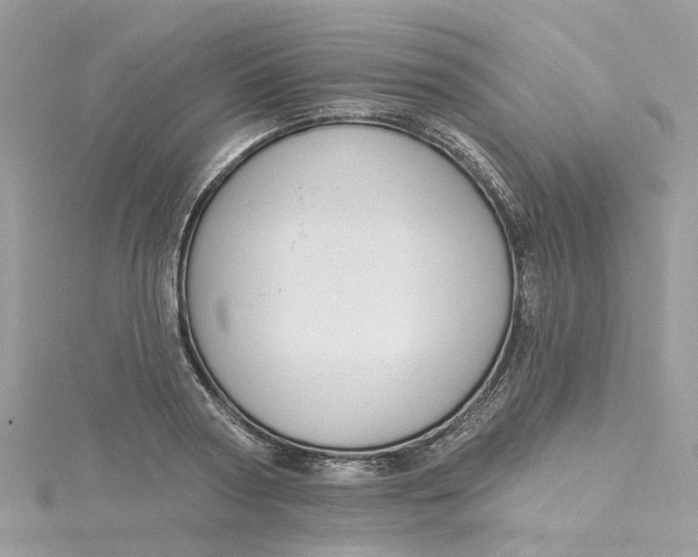 X0000115200794200911181507