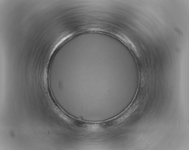 X0000115200798200911181507