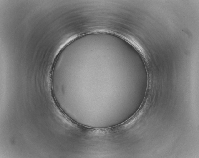 X0000115200806200911181507