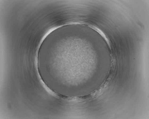 X0000115200811200911181507