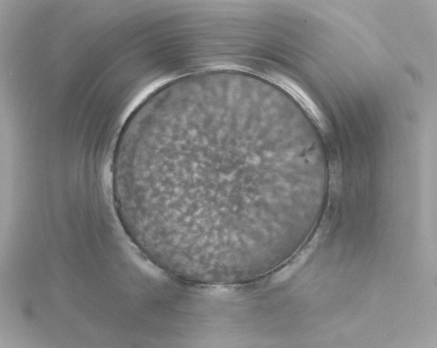 X0000115200814200911181507