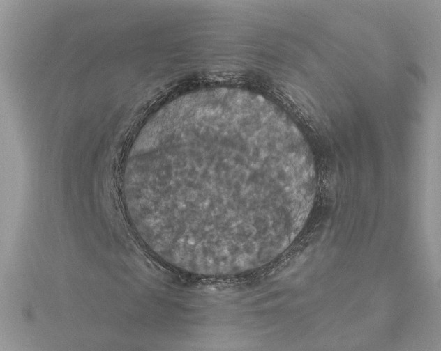 X0000115200817200911181506