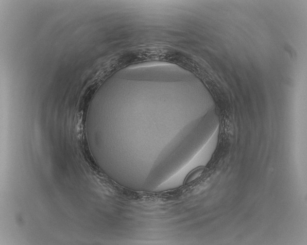 X0000115200818200911181506