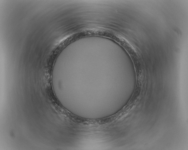 X0000115200822200911181506