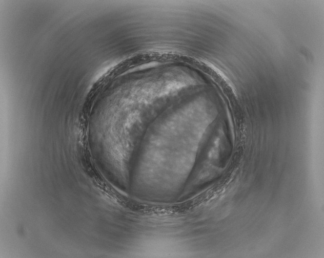 X0000115200823200911181506