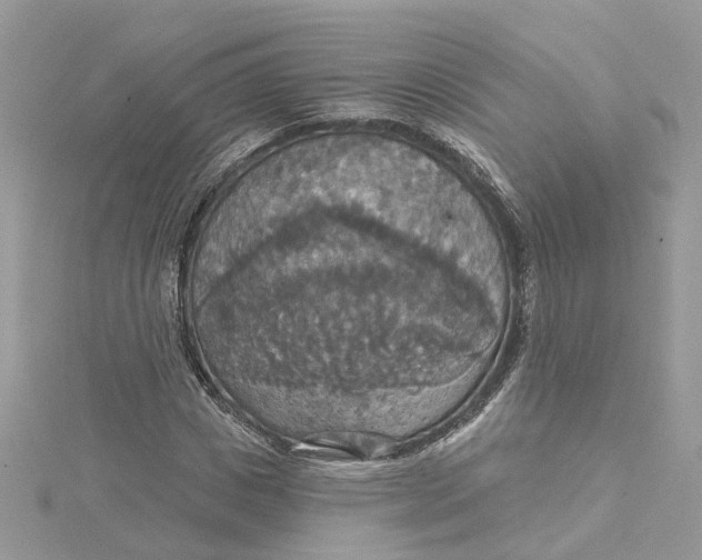 X0000115200825200911181506