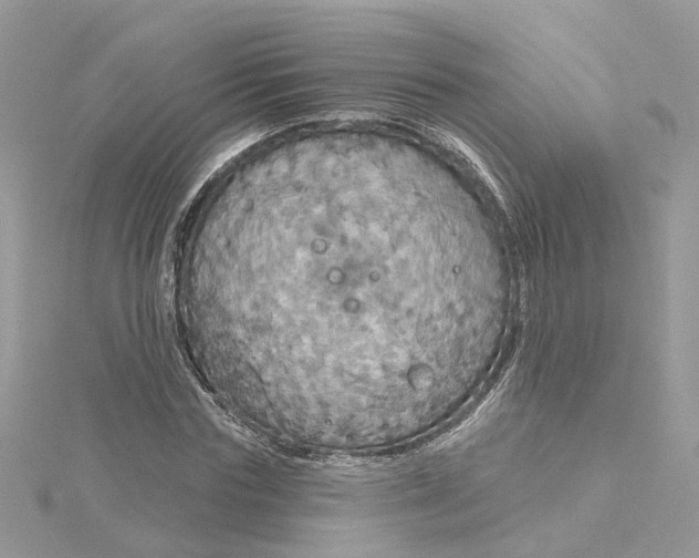 X0000115200827200911181506